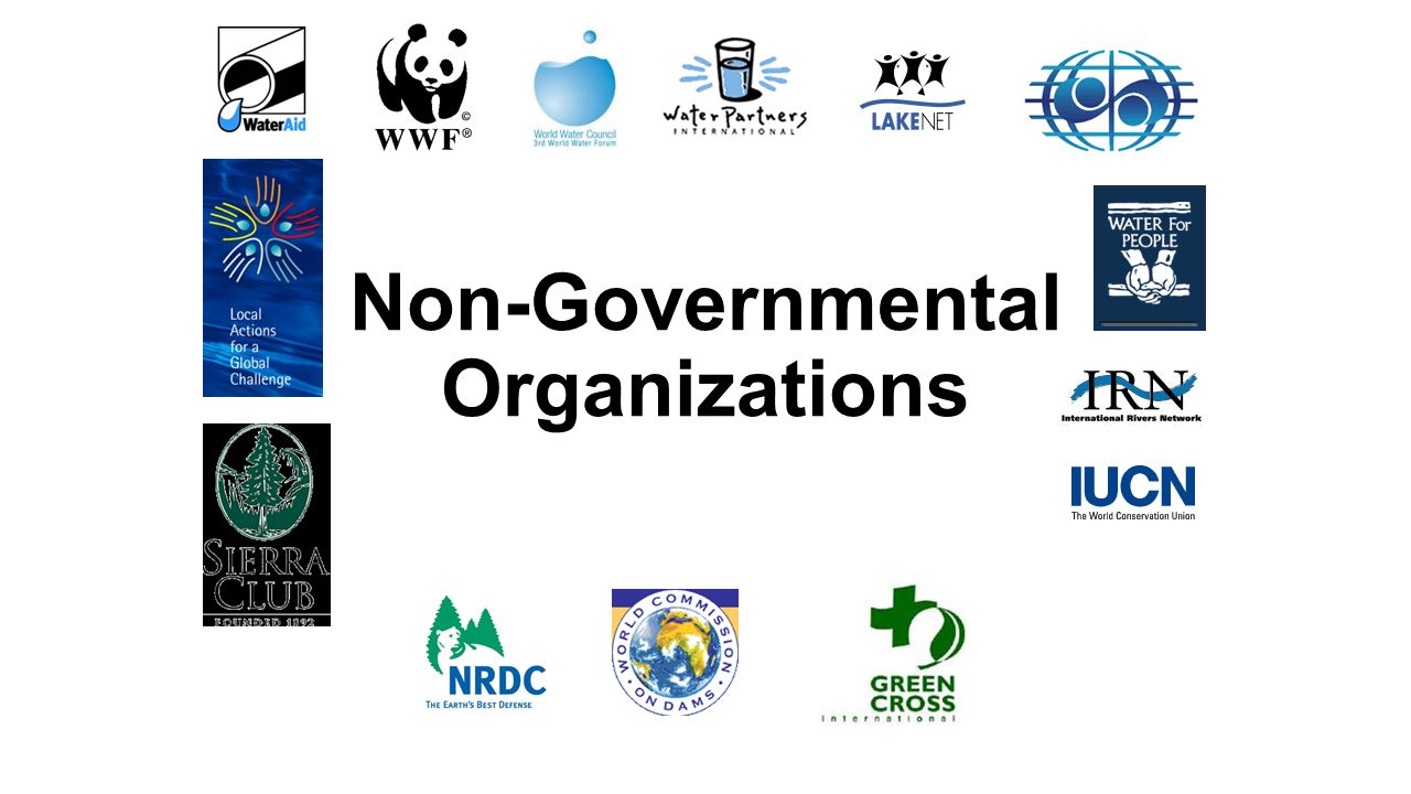 A Non Governmental Organization Ngo Registration