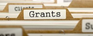 ngo grants